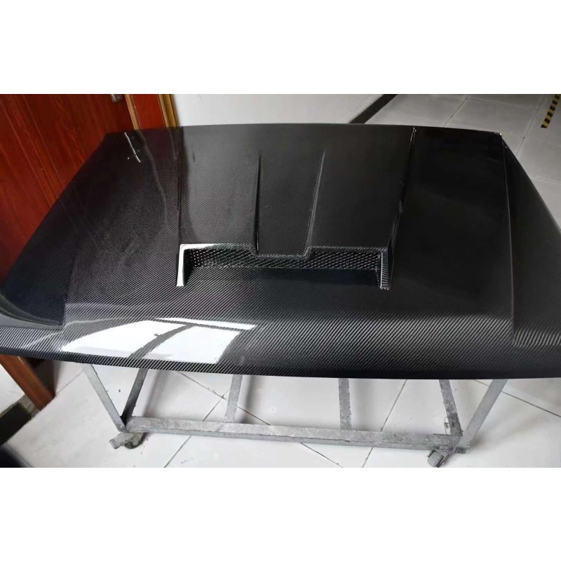 Tank 300 Engine Compartment Cover (Carbon Fiber B)