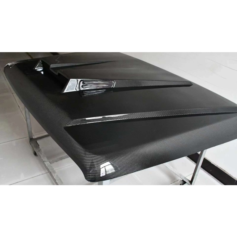 Tank 300 Engine Compartment Cover (Carbon Fiber B)