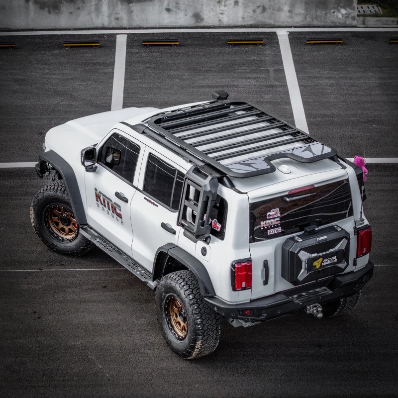 AW Roof Platform for TANK 300 (Long Version)